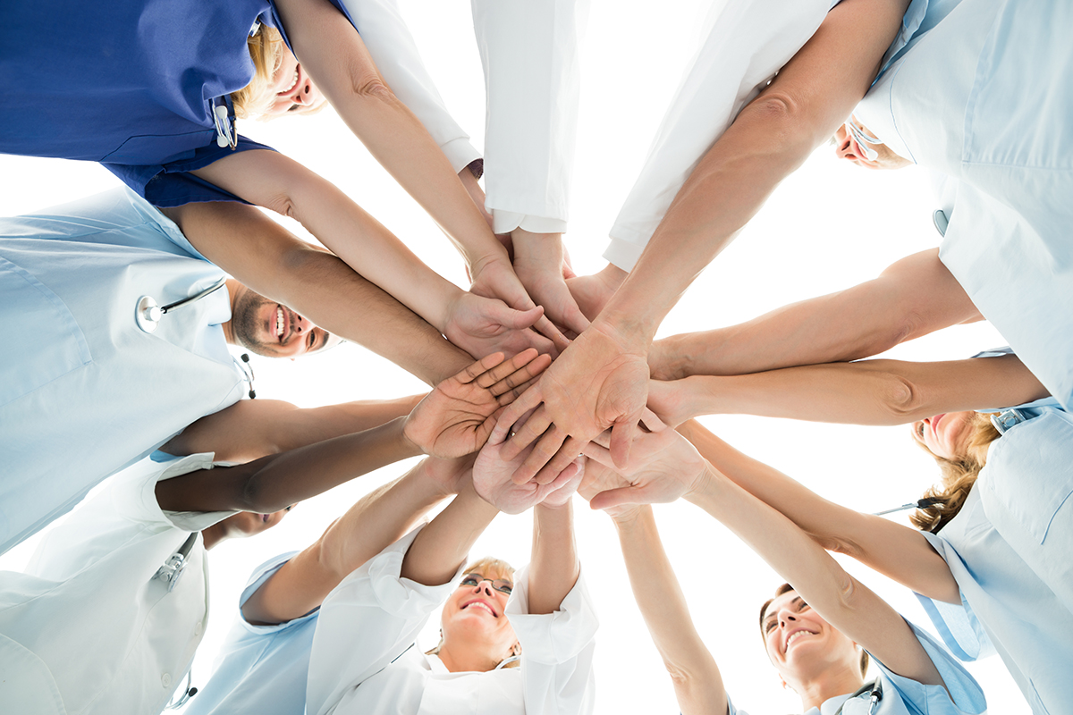 team equipe codevelloepment